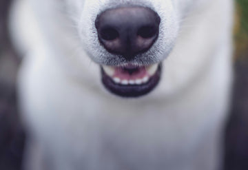 Blog06