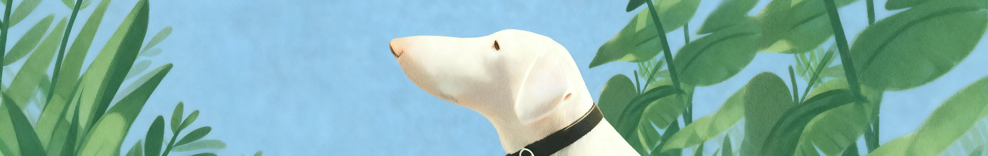 Dog product banner
