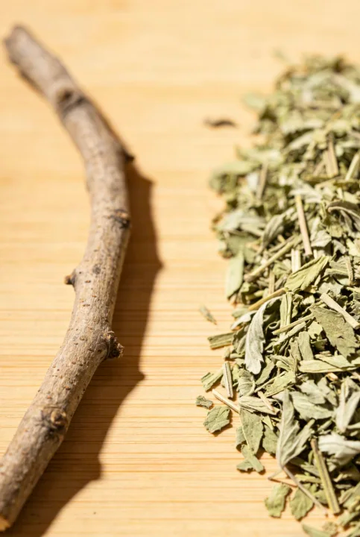 Silvervine and Catnip