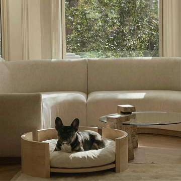 Editor's Pick: 5 Pet Corners That Make a Home Feel Warmer