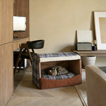 Bed on the Floor vs Bed in a Corner