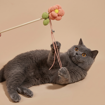 How Many Toys a Cat Actually Needs