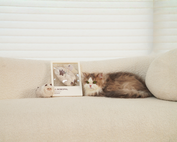 A Touch of the Ocean, Right at Home