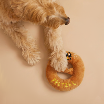 Why Dogs Carry Toys Without Playing