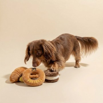 What Does a Squeaker Do for a Dog?