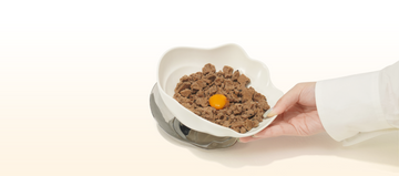 What 1240°C Means for Your Cat's Bowl
