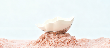 The Best Christmas Pet Gift of 2025 – One That Actually Feels Like Love