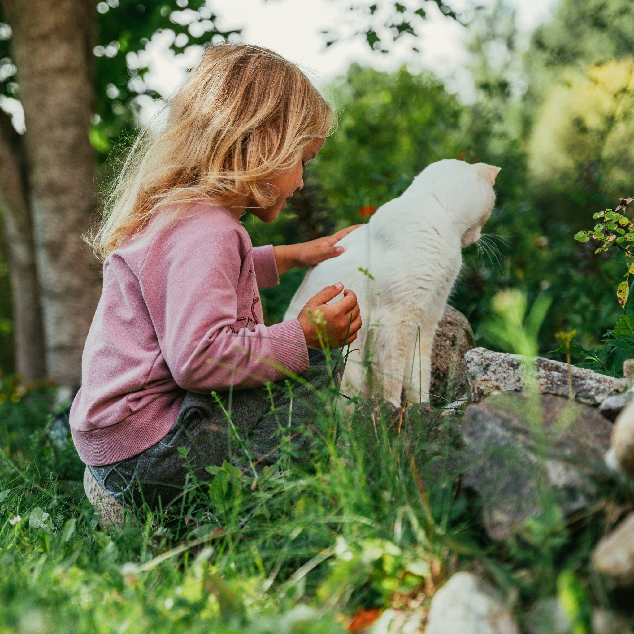 Best Tips for Teaching Kids Proper Pet Care with Bobopal Conch Pet Bowl