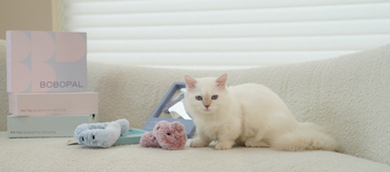 Best Christmas Gifts for Pets 2025: Top Bobopal Ocean Toys to Preorder with 20% Off