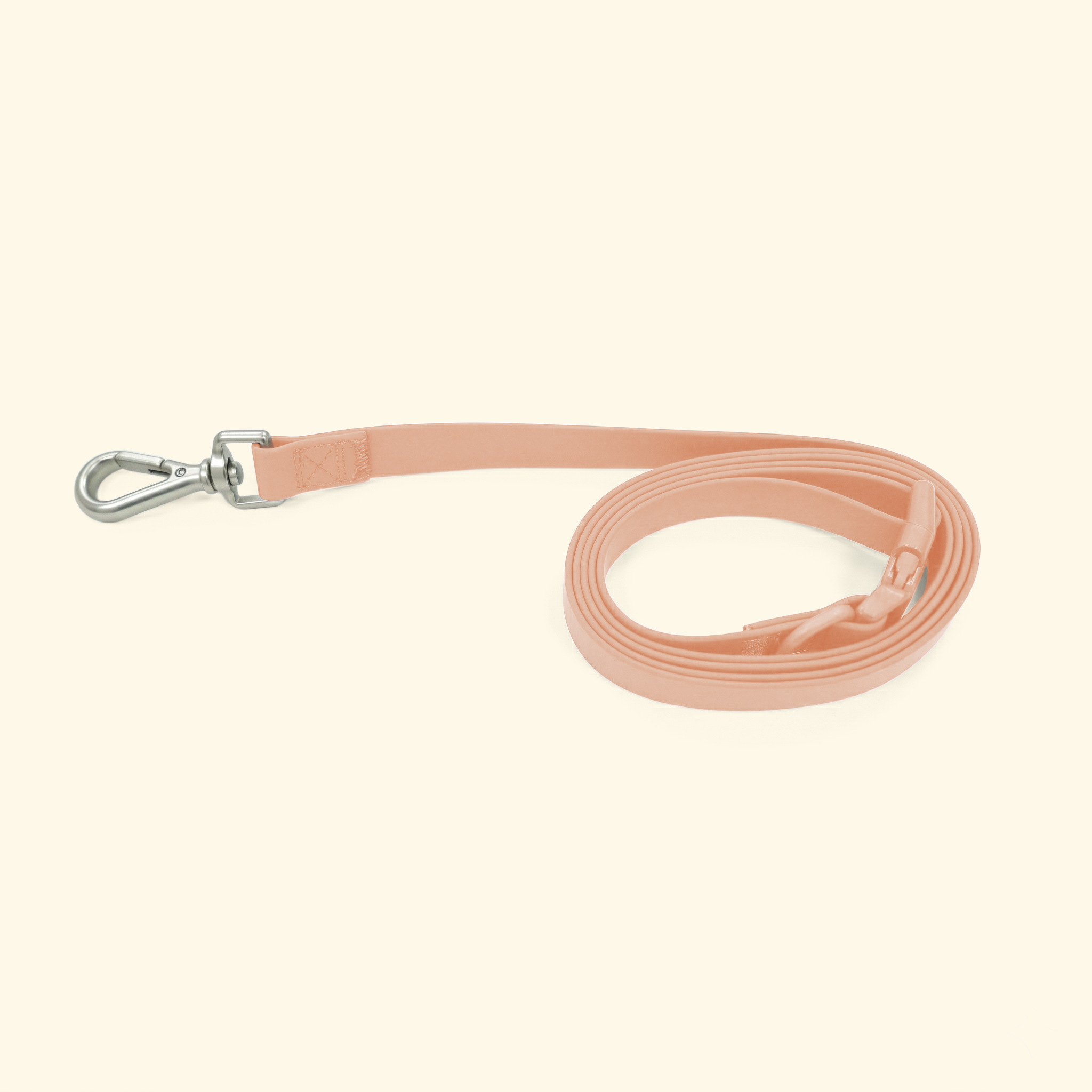 The Essential Dog Leash