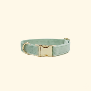 Velvet Dog Collar