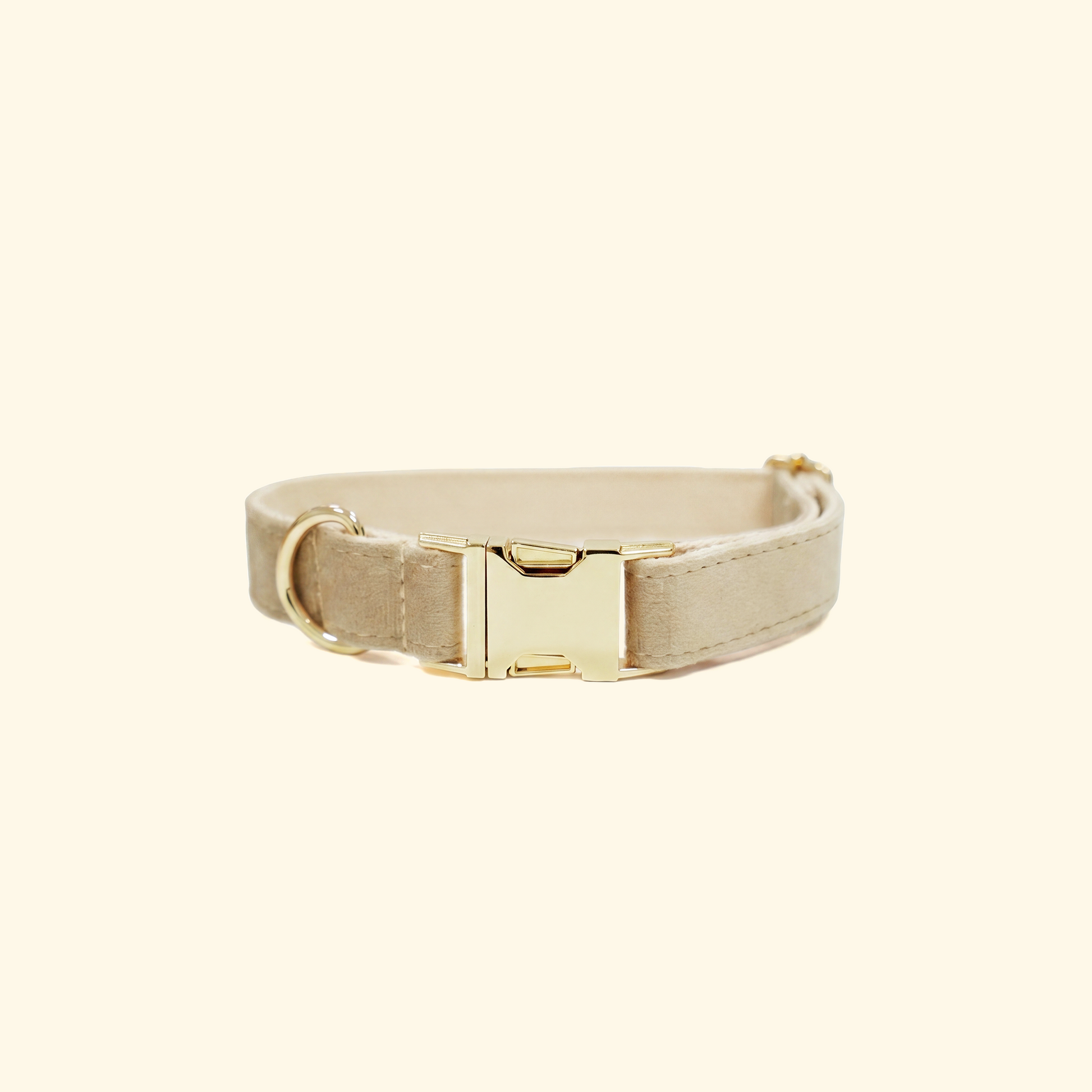 Velvet Dog Collar