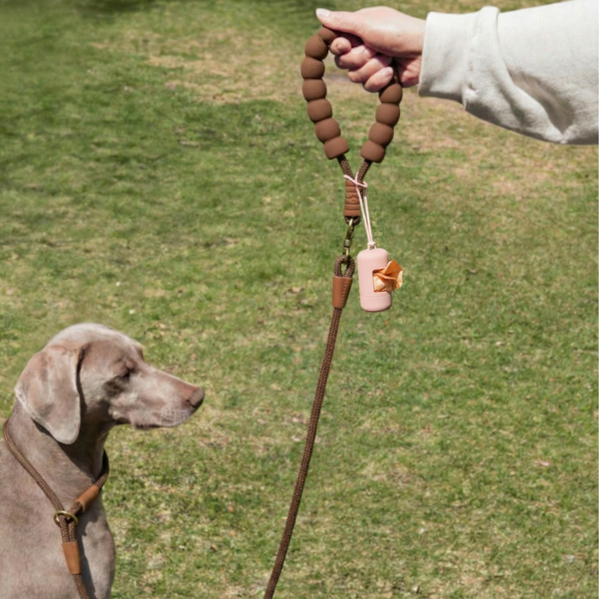 Dispensador de Correa con Bolsas para Excremento Perfumadas