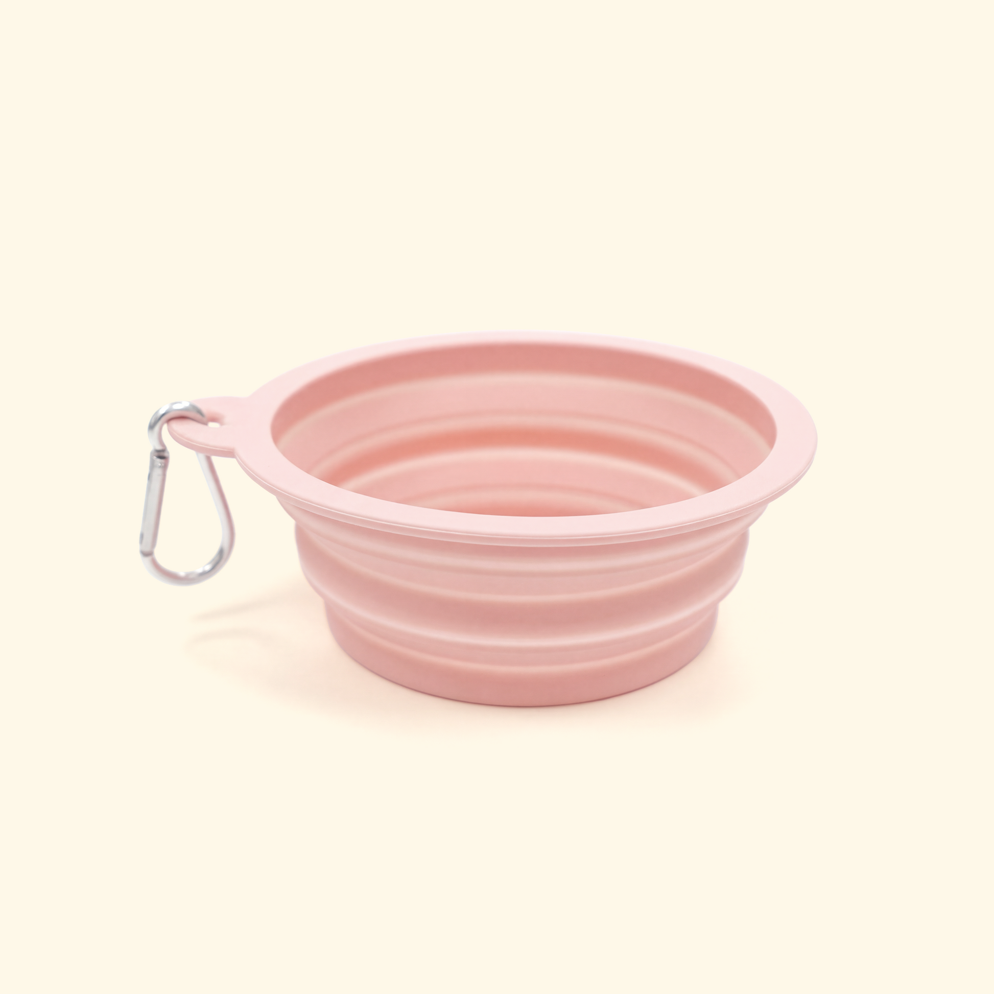Foldable Travel Pet Bowl