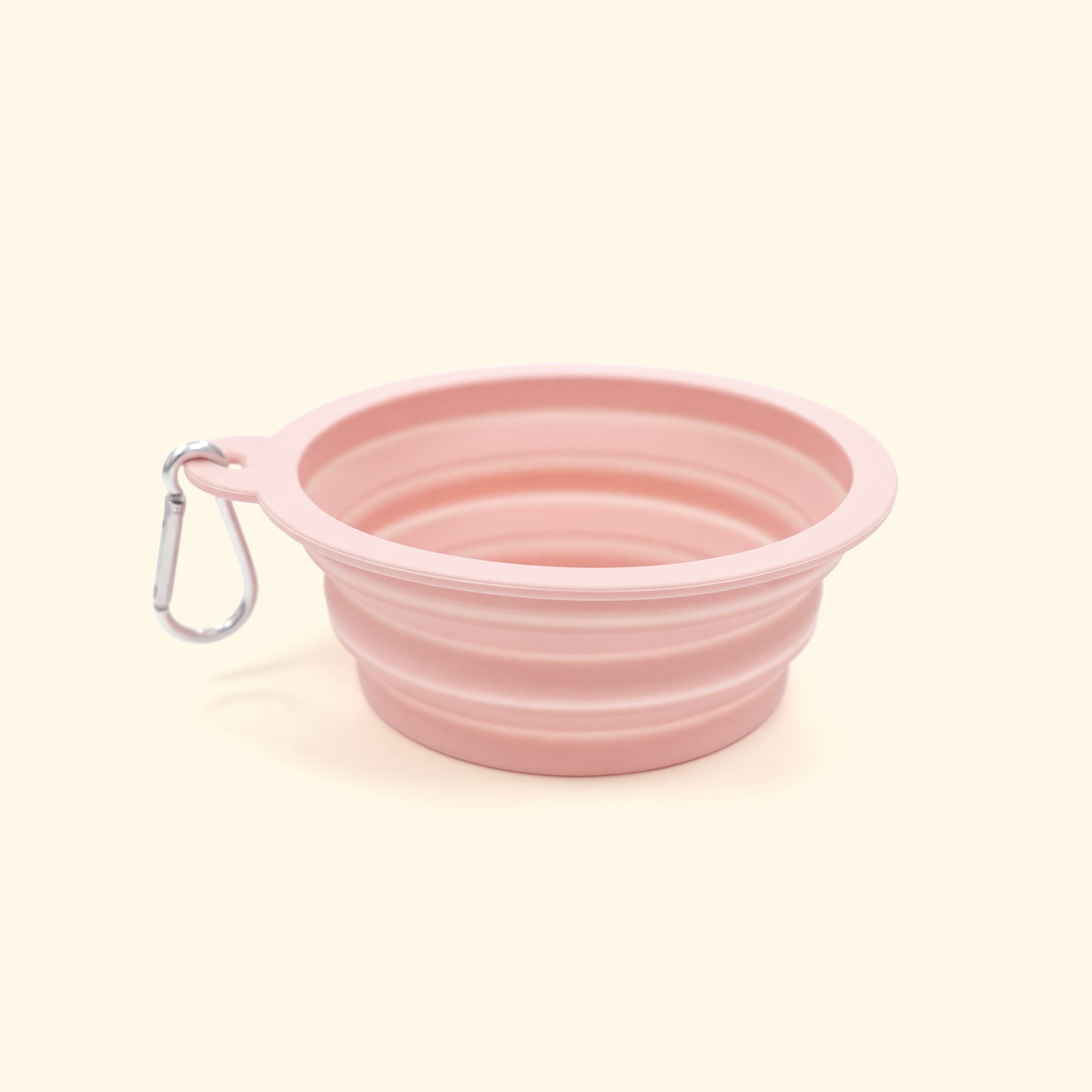 Foldable Travel Pet Bowl