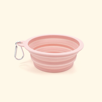 Foldable Travel Pet Bowl