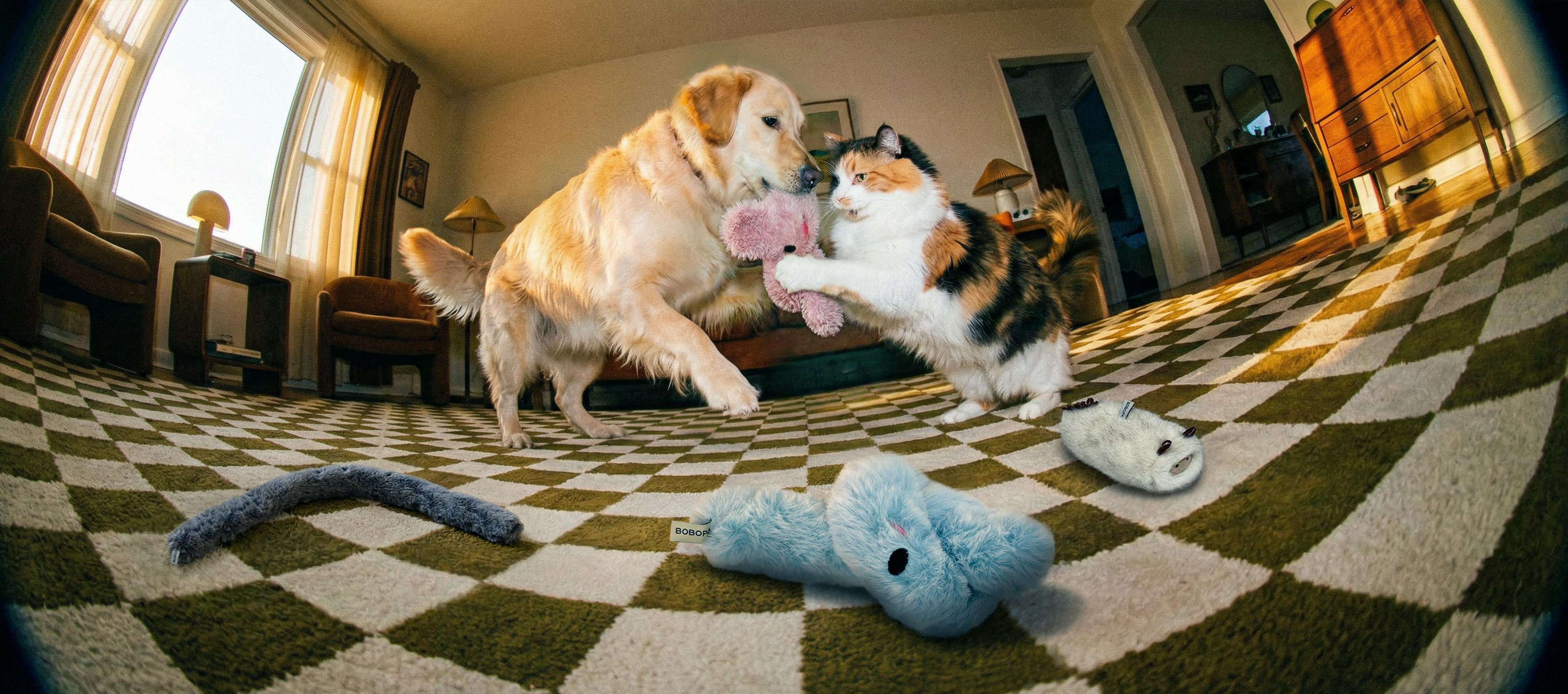 slider image slider_item_fEV8GK