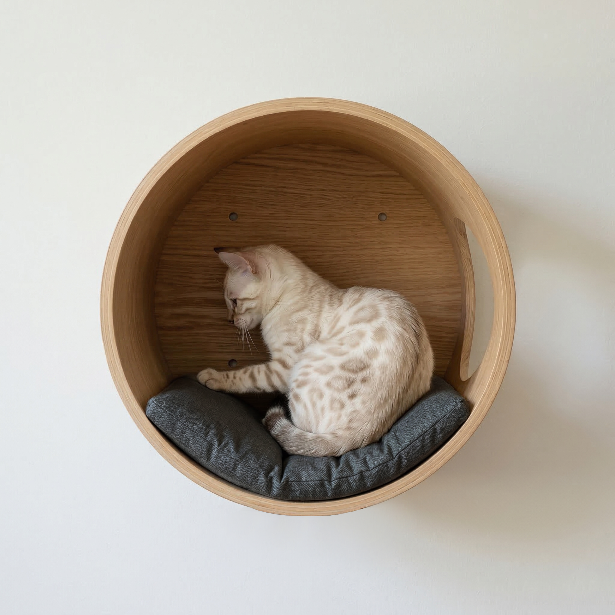 Round Cat Shelf