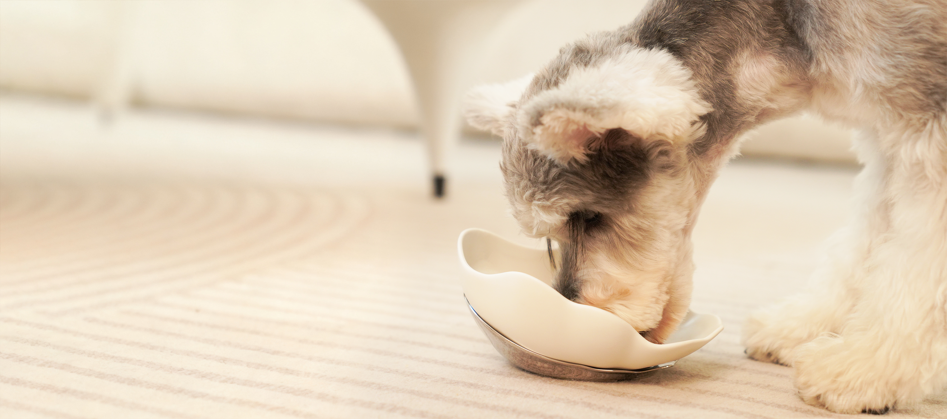 Bobopal Dog Wooden Comb1621243260e1af0c20-0