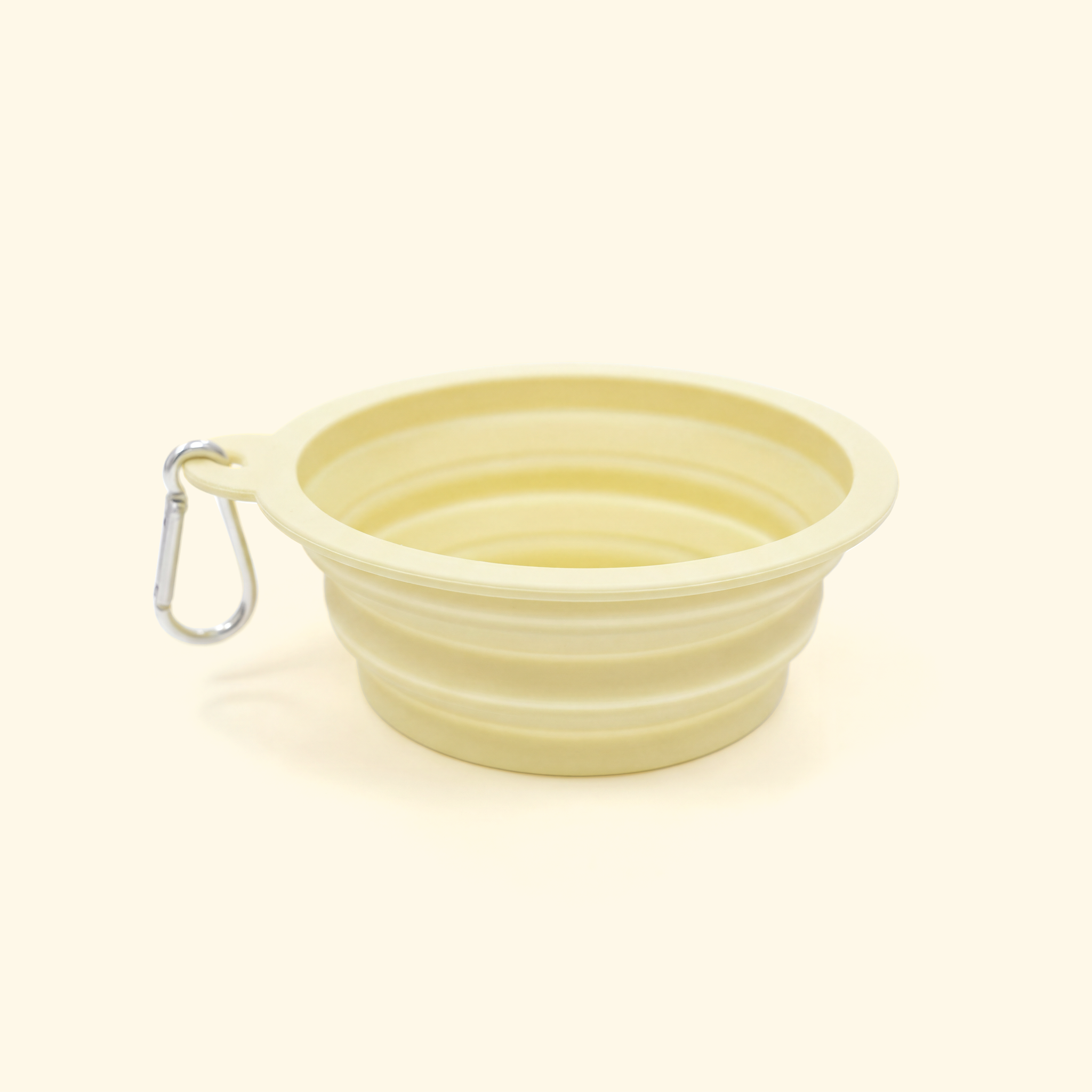 Foldable Travel Pet Bowl