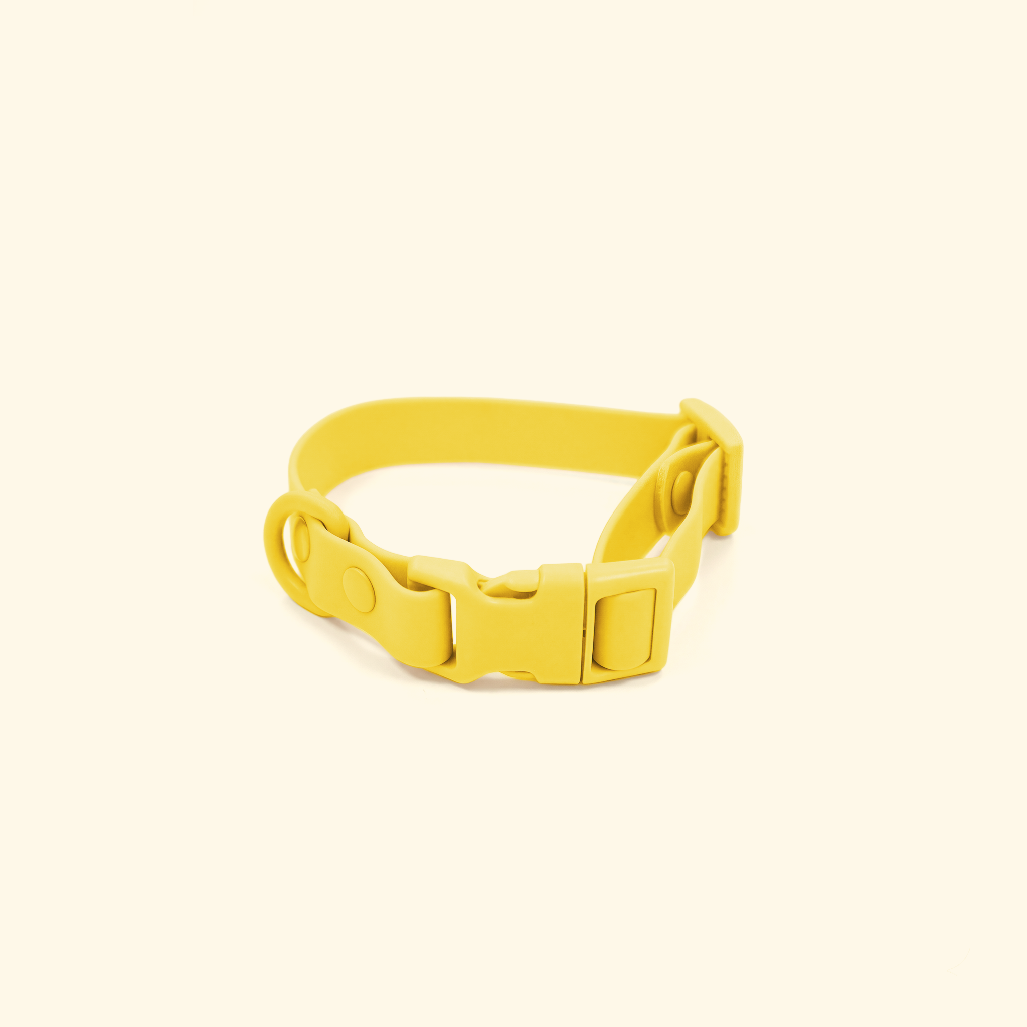 The Essential Dog Collar