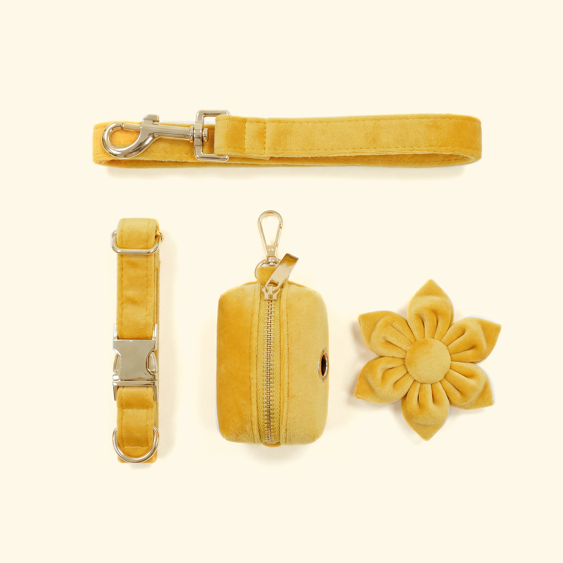Velvet Collar Dog Walk Set