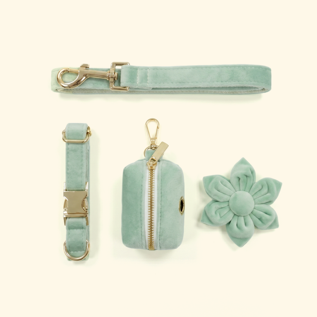 Velvet Collar Dog Walk Set