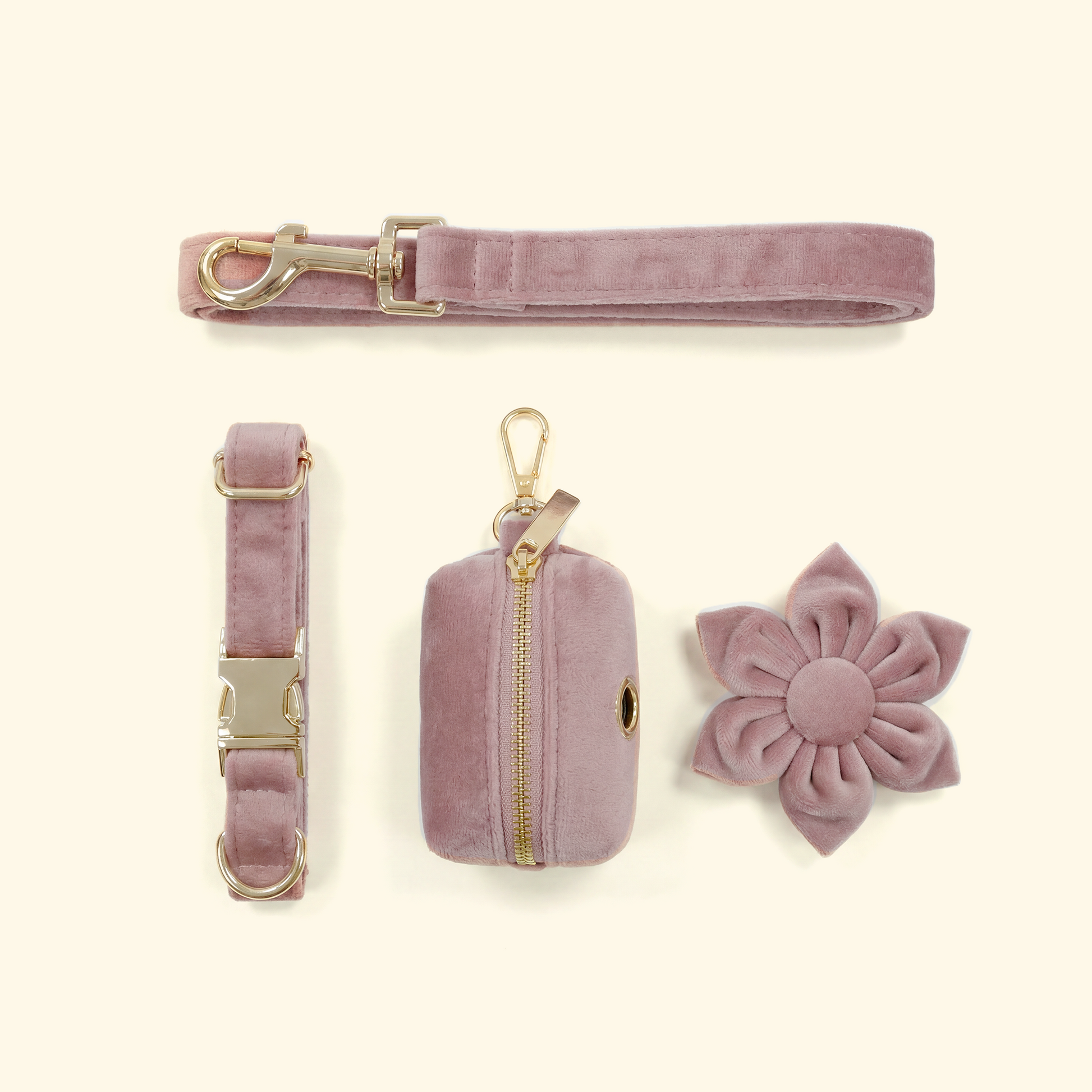 Velvet Collar Dog Walk Set