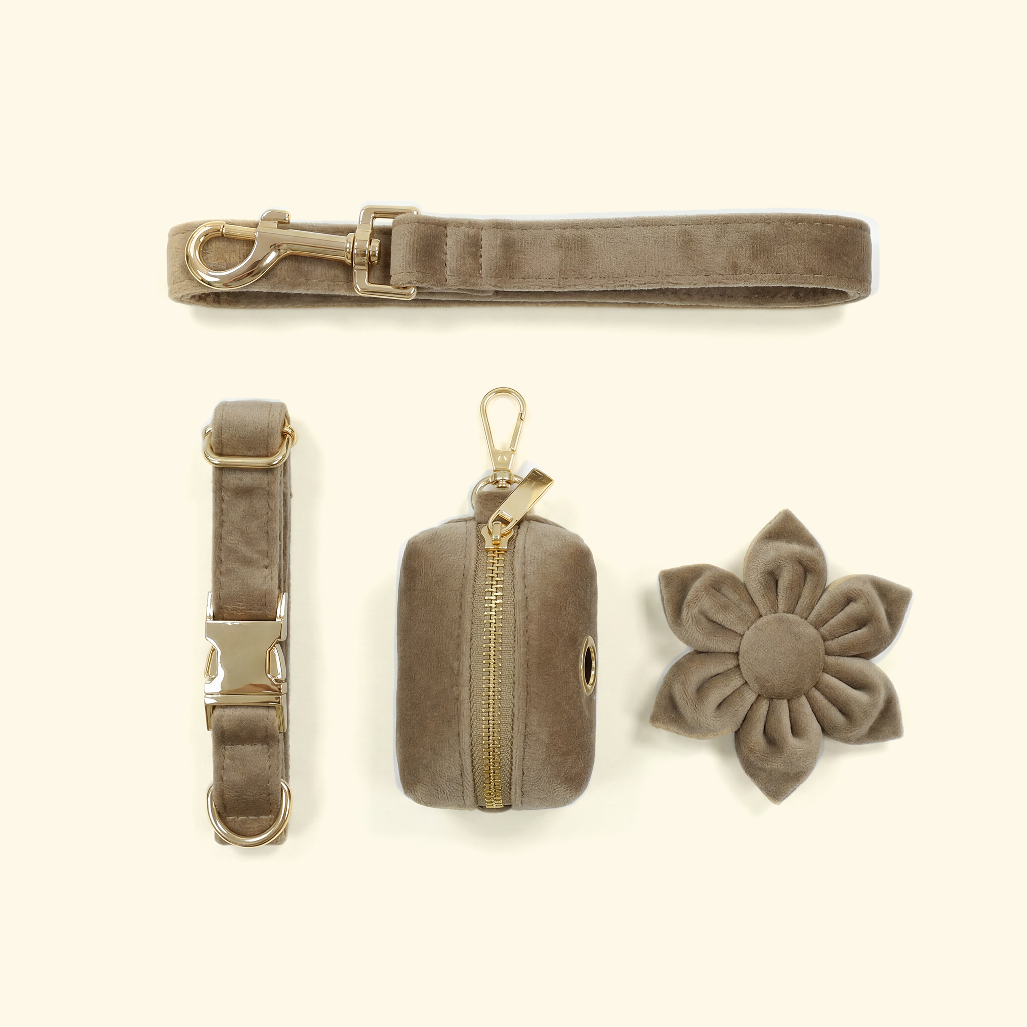 Velvet Collar Dog Walk Set