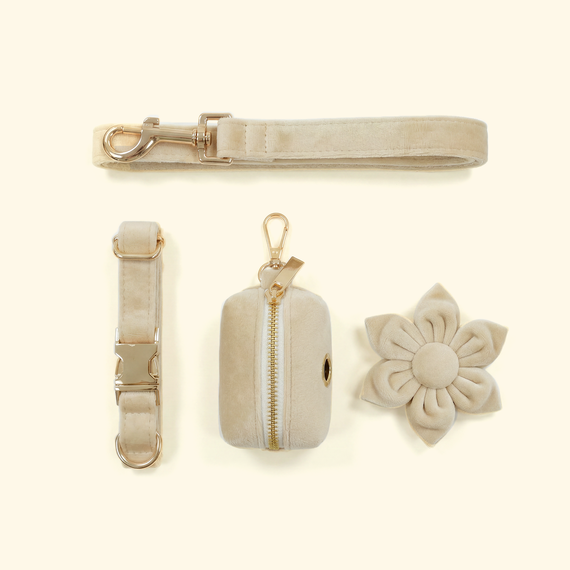 Velvet Collar Dog Walk Set