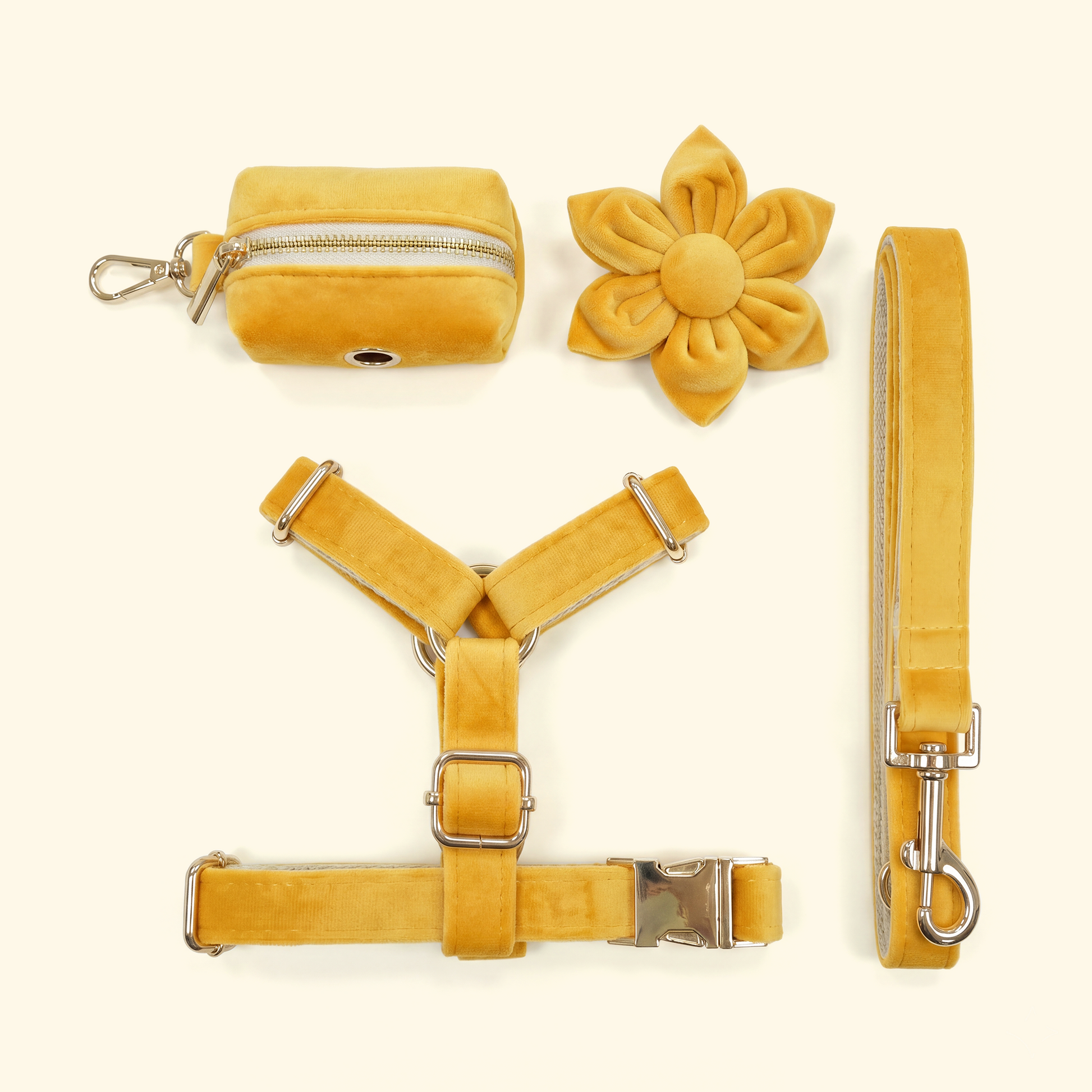 Velvet Harness Dog Walk Set
