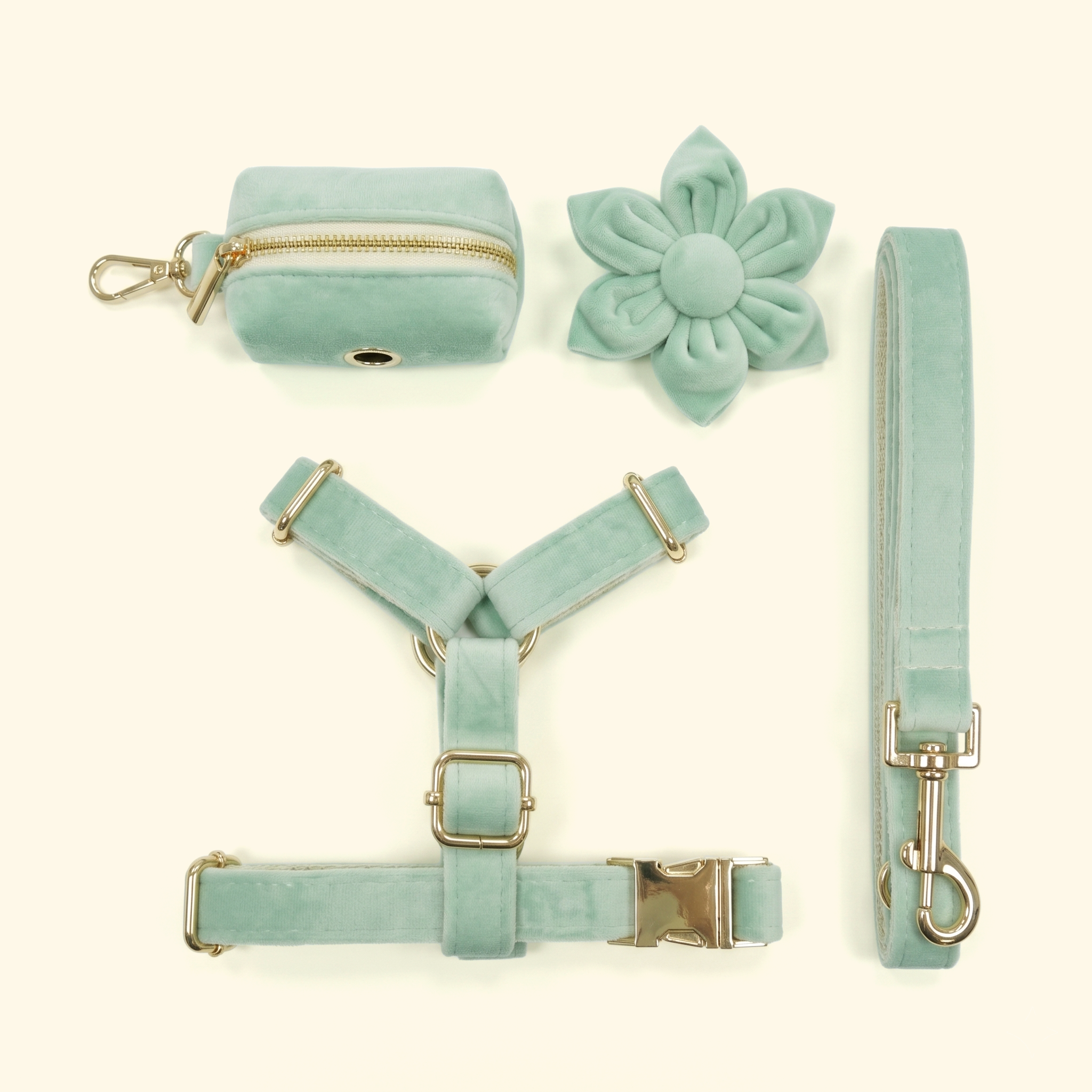 Velvet Harness Dog Walk Set