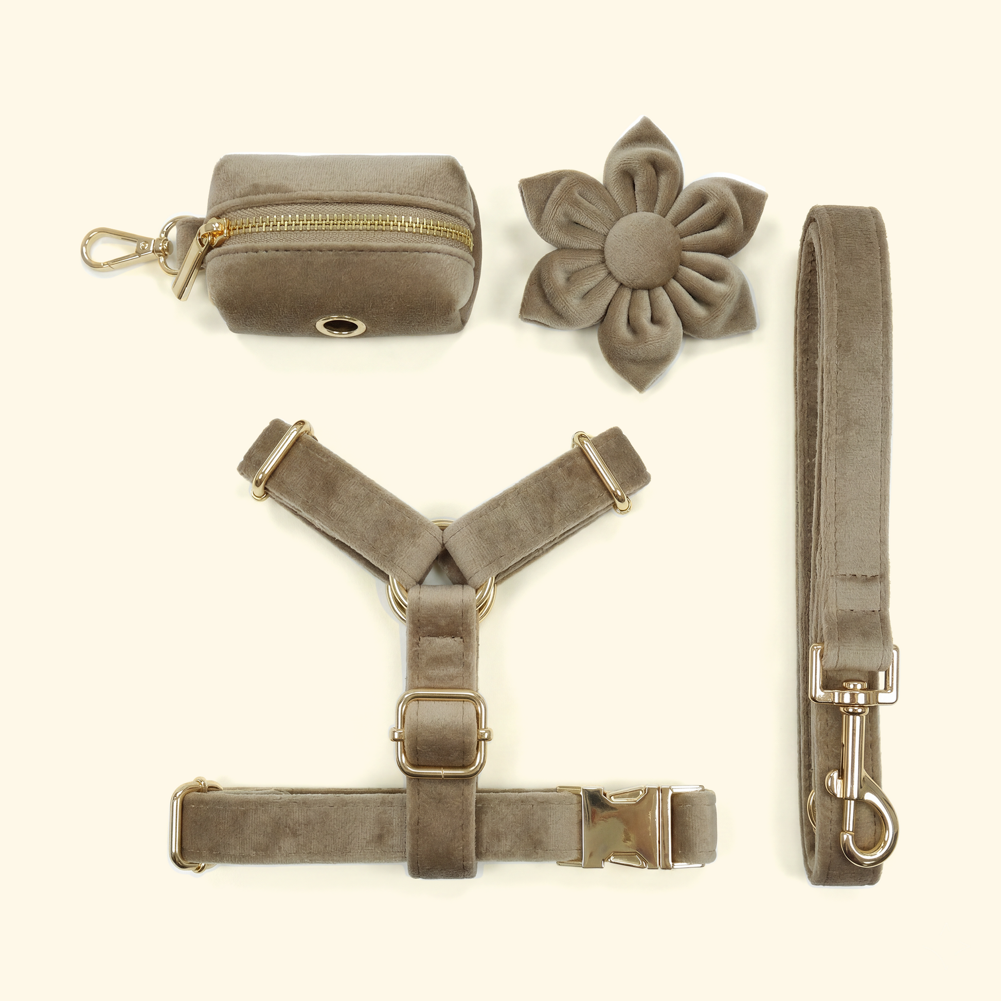 Velvet Harness Dog Walk Set