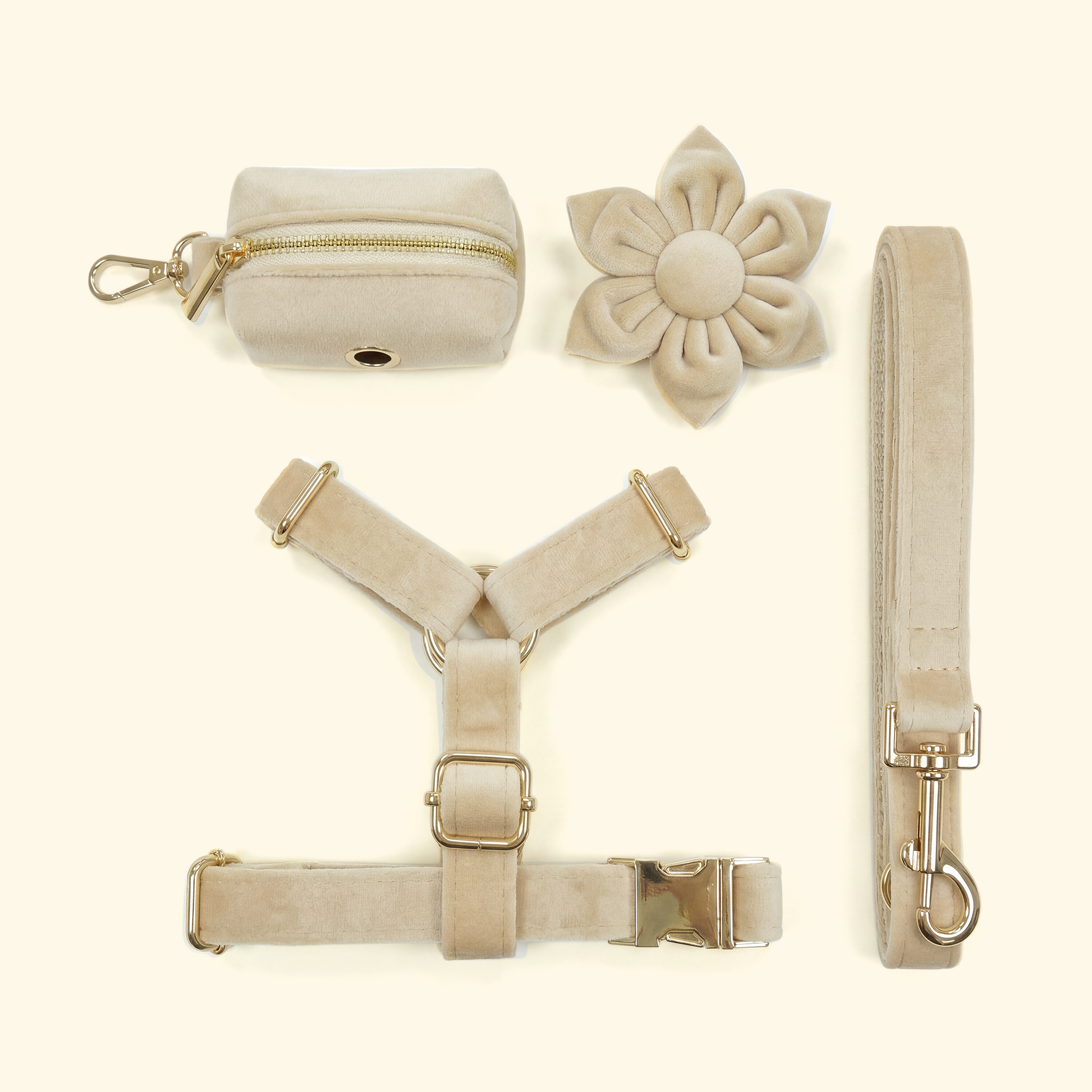 Velvet Harness Dog Walk Set
