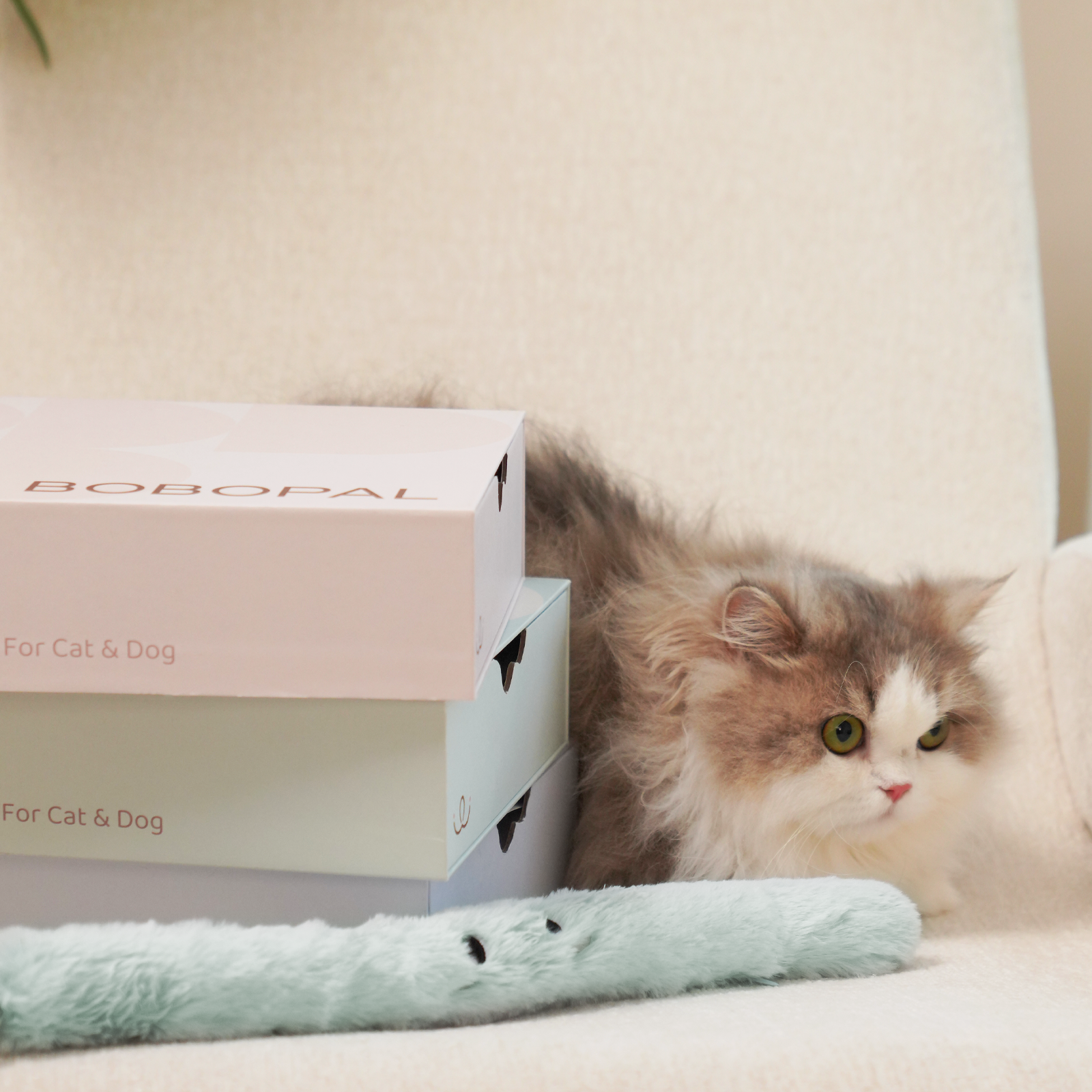 Juguete & Charm Pyrosoma