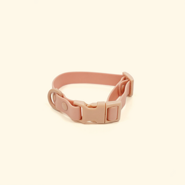 The Essential Dog Collar