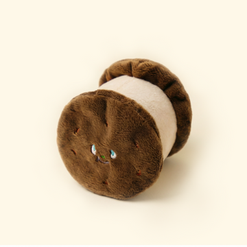 dog toys for puppies