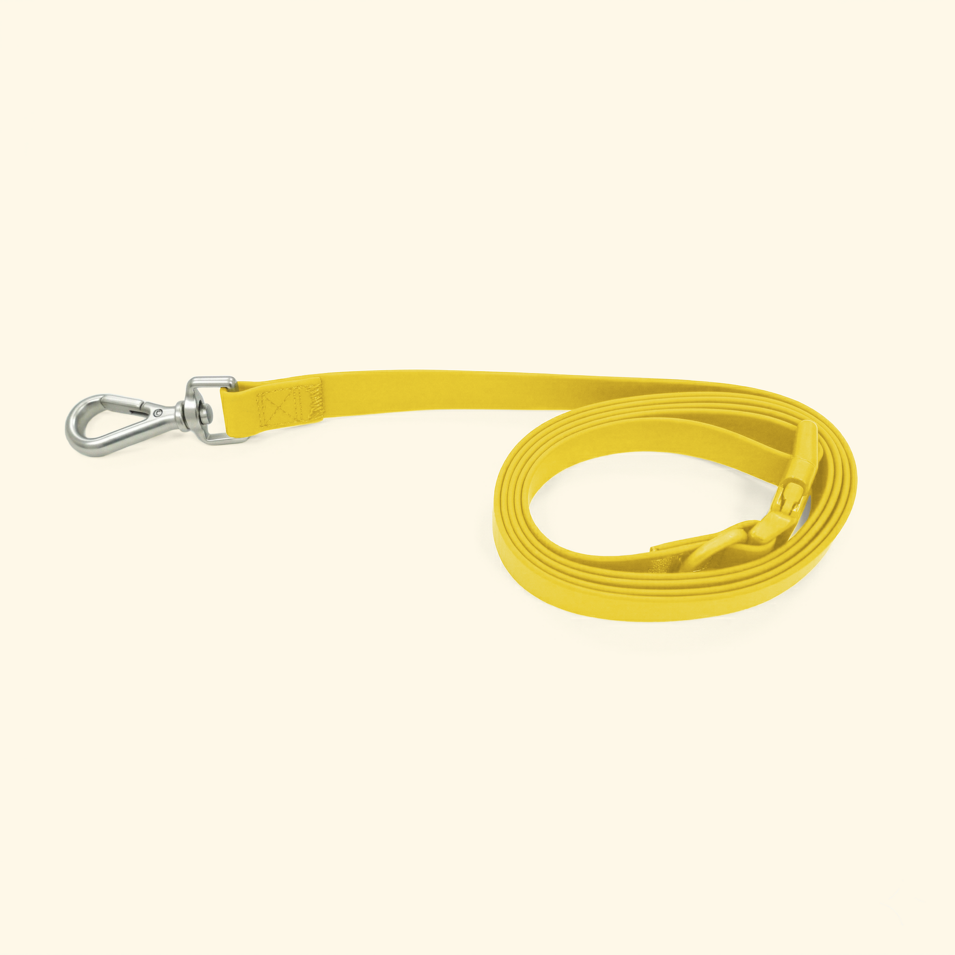 The Essential Dog Leash