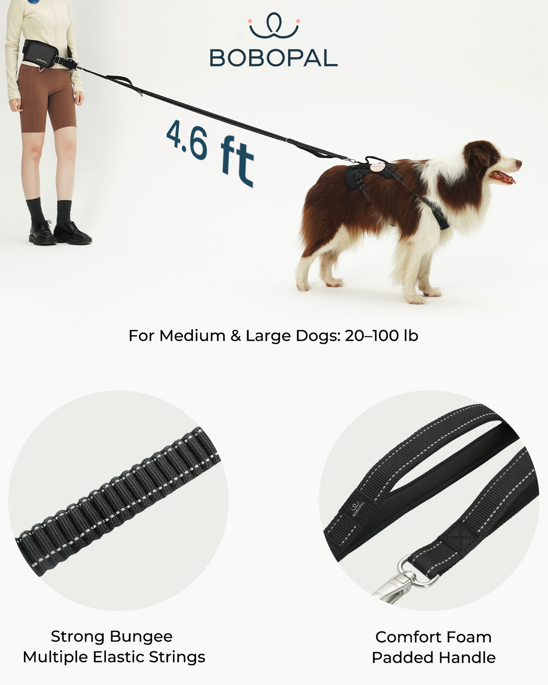 Bobopal Dog Leash