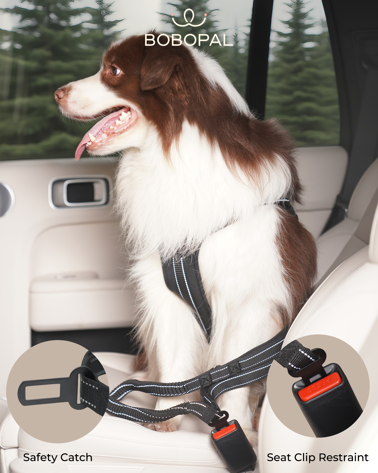 Bobopal Dog Leash