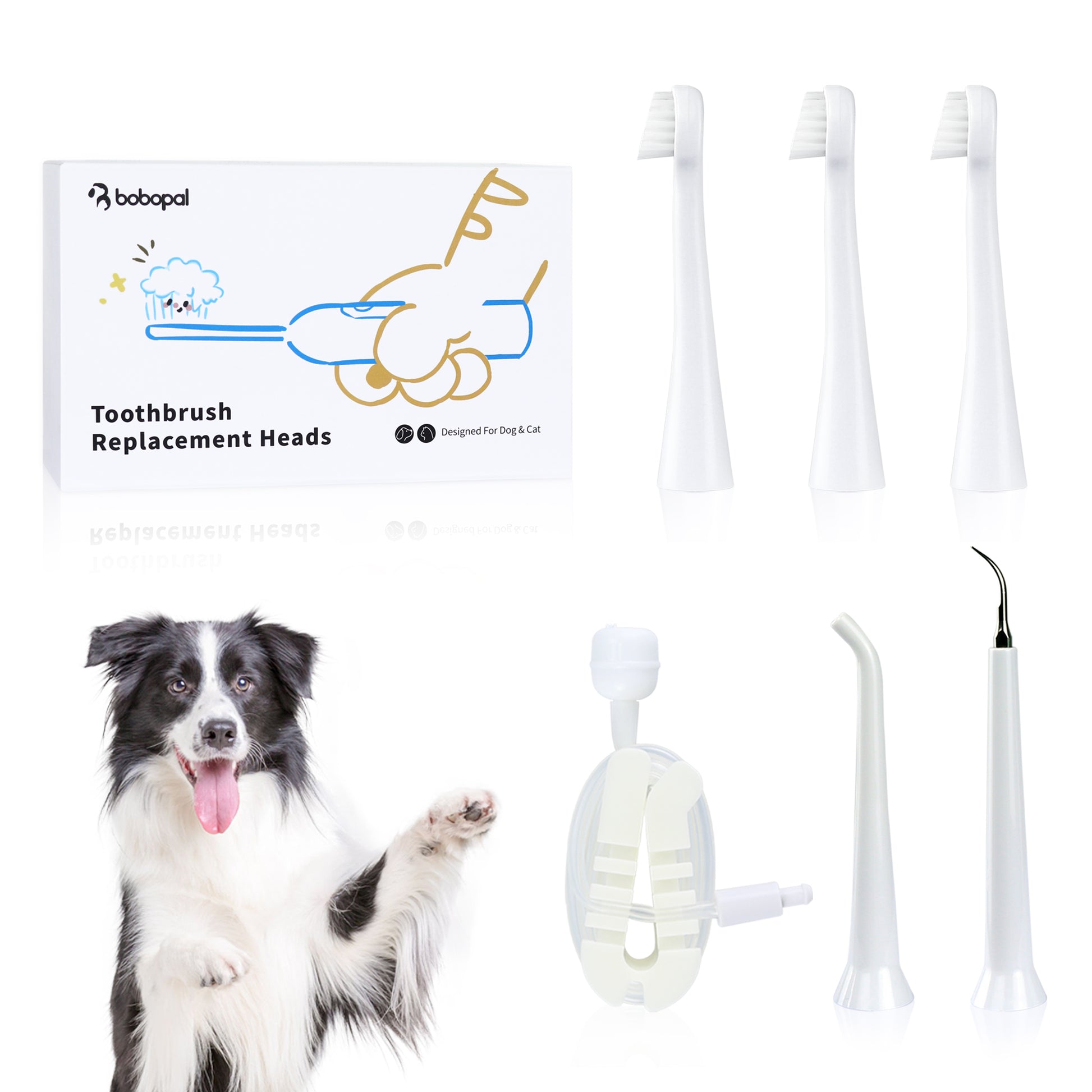 Bobopal Dog Toothbrush Accessories02
