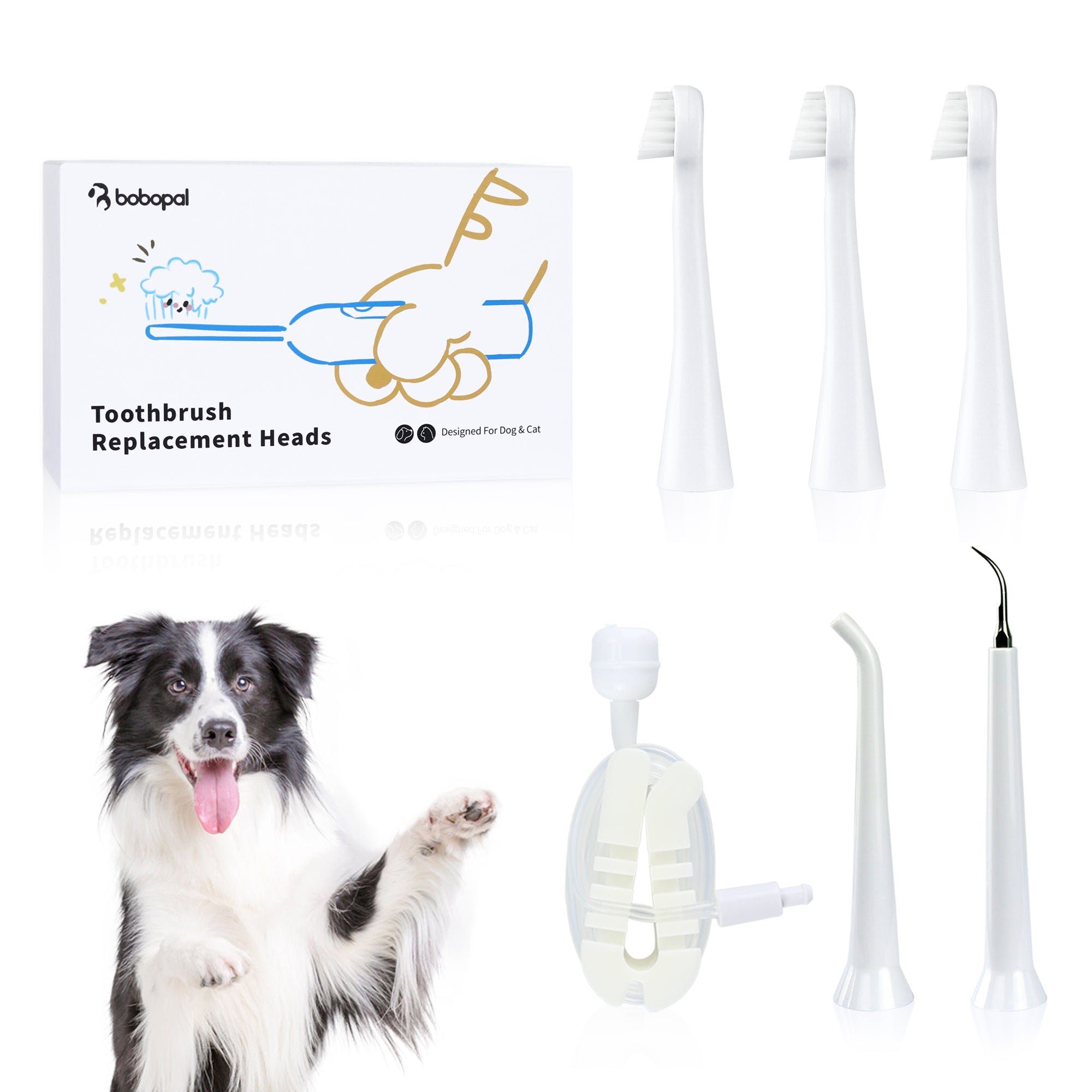 Bobopal Dog Toothbrush Accessories02