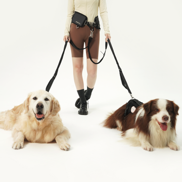 bobopal waist dog leash