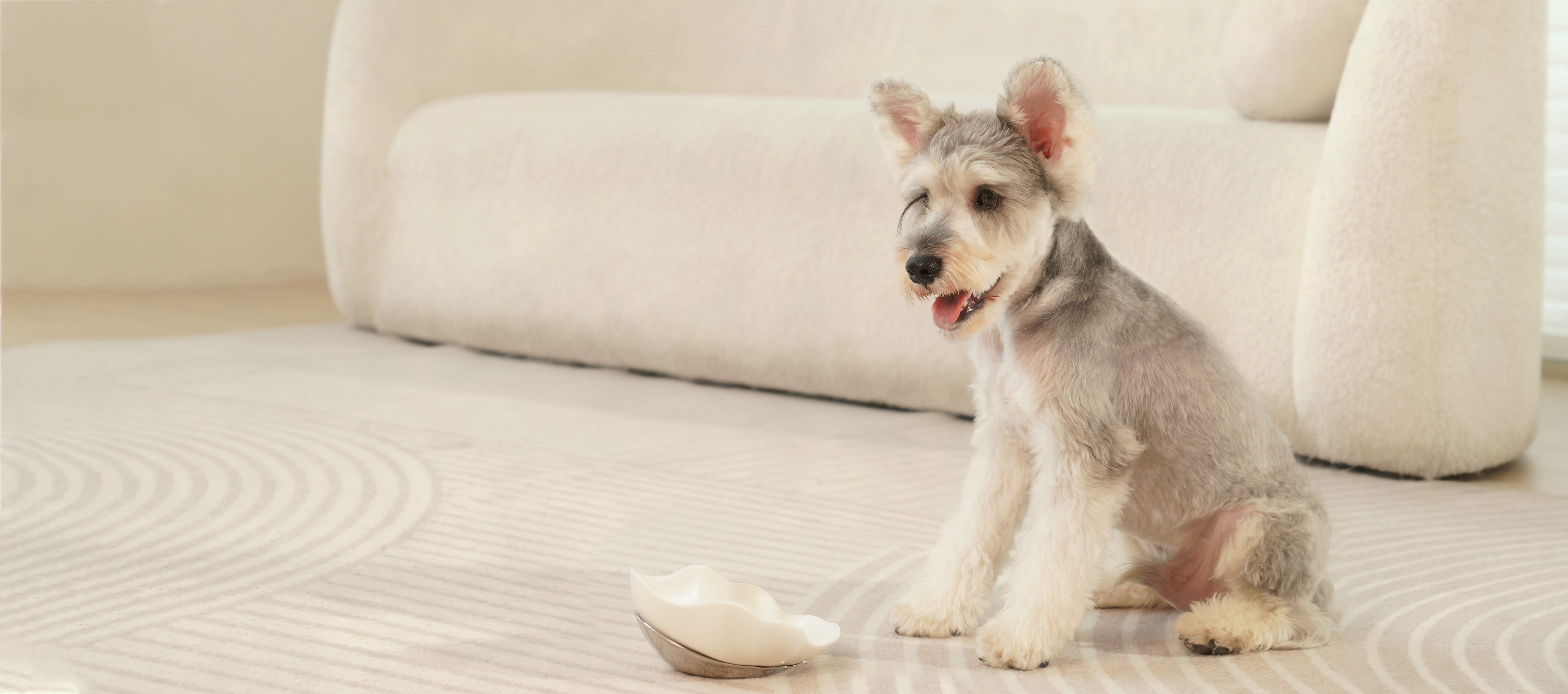 bobopal conch dog bowlslider_item_hmiWXB