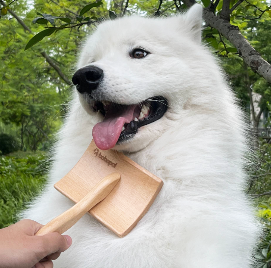 dog brush comb