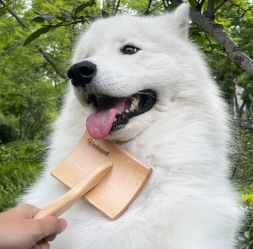 dog brush comb