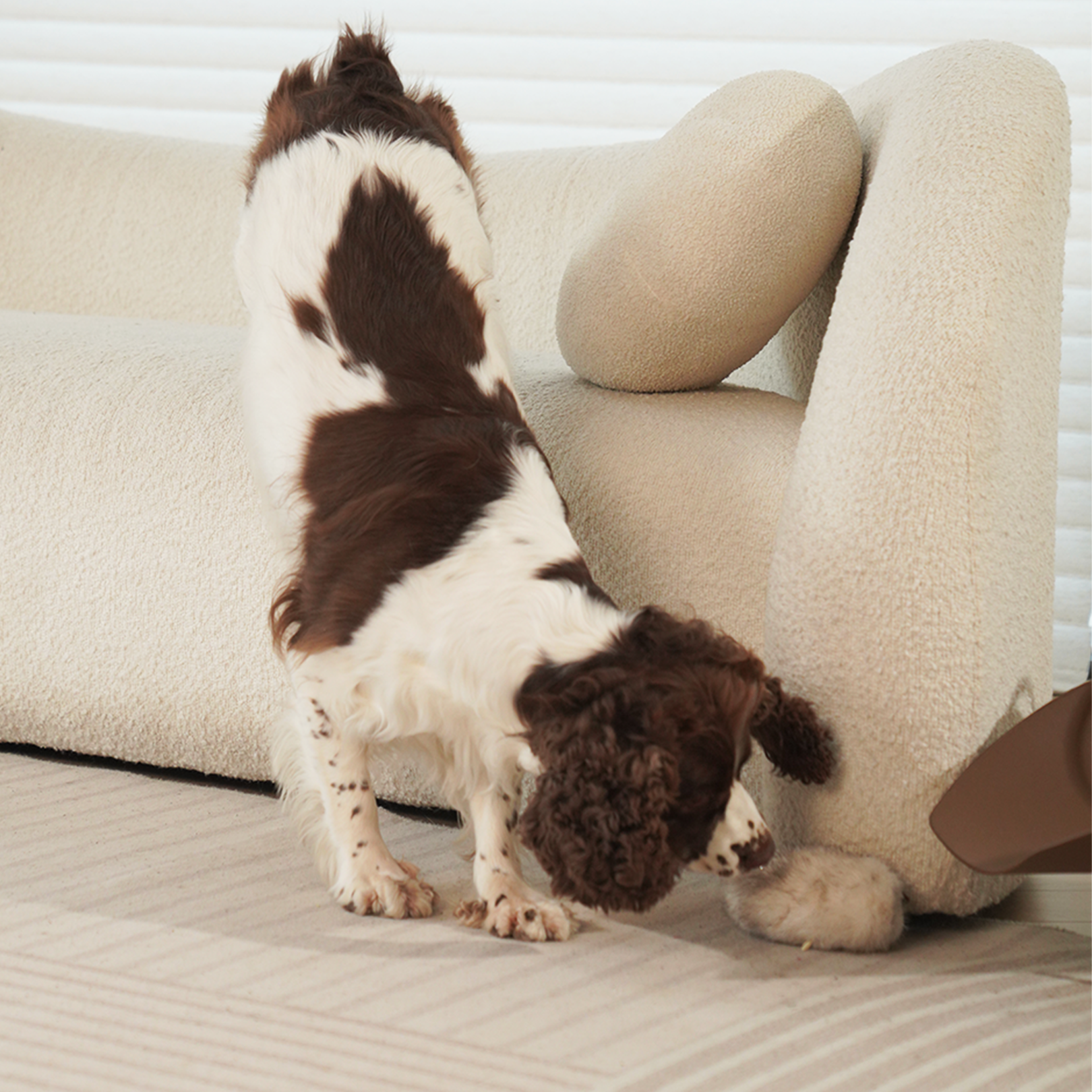 Sea Bunny Toy & Charm