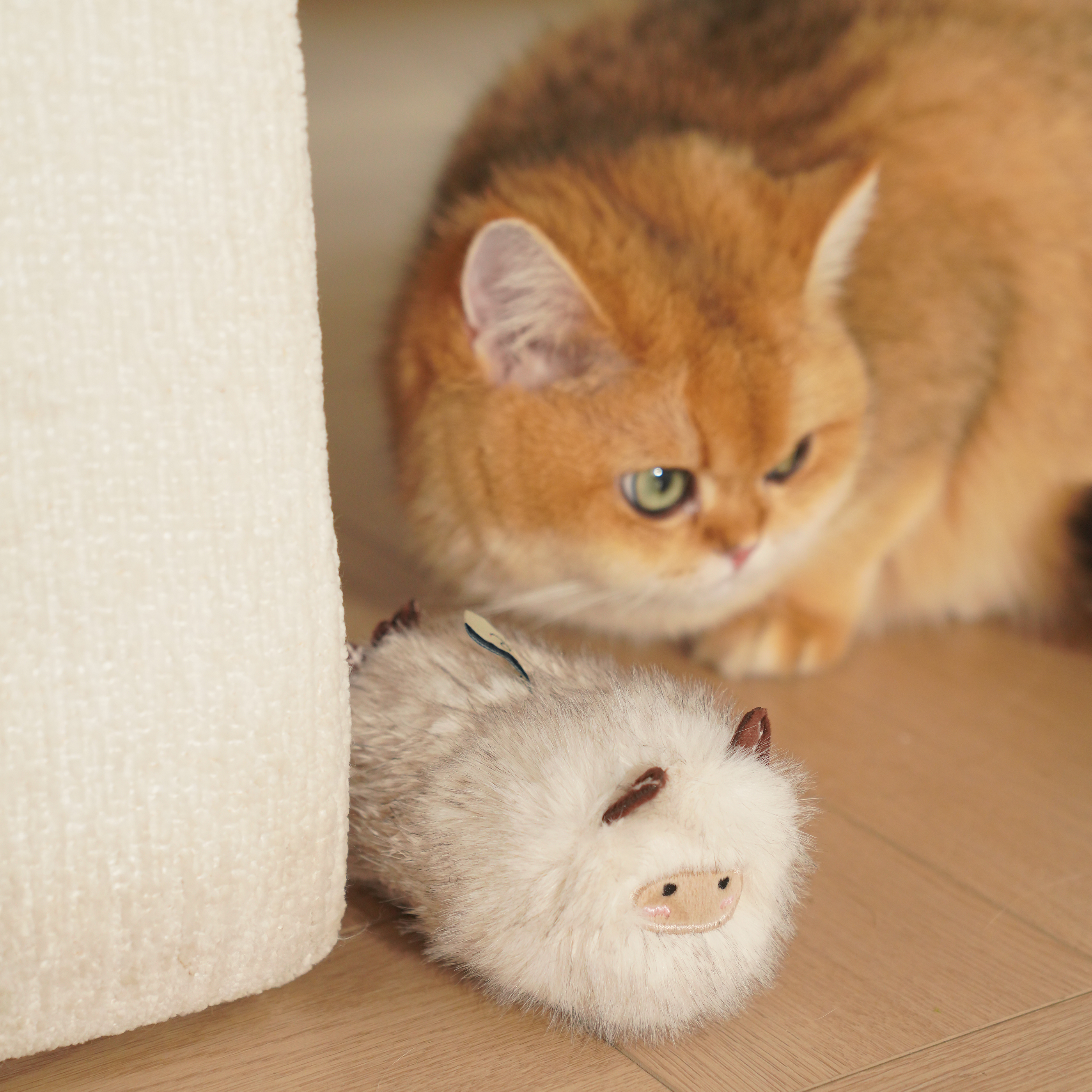 Bobopal Ocean Bunny Catnip Toy