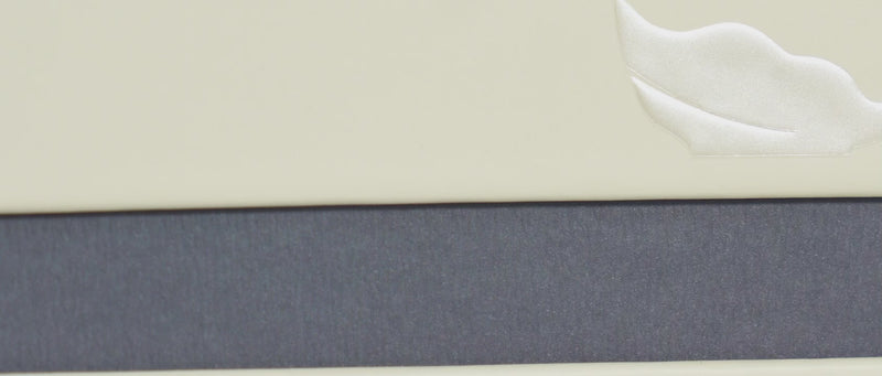 bobopal conch dog bowl & cat bowl