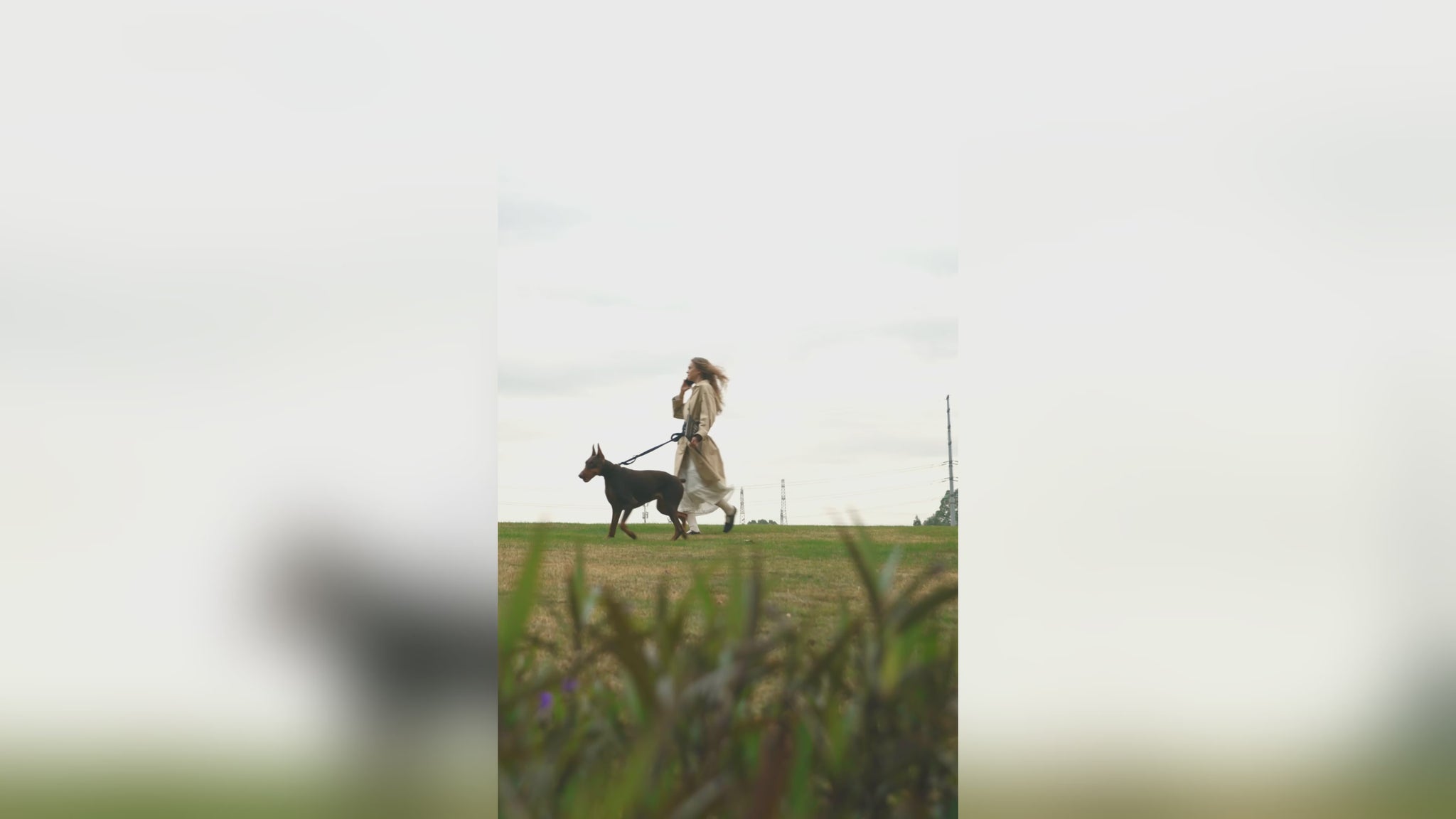 Bobopal_Dog_Leash_video